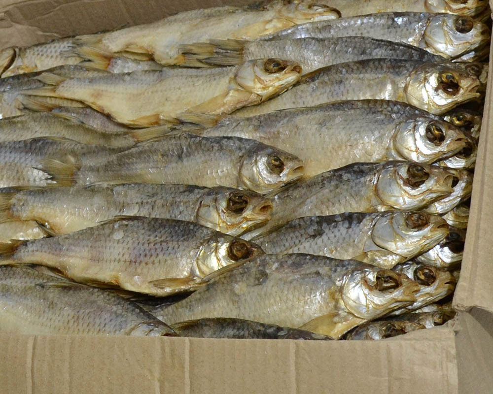 Рыба в ассортименте. Рыба продать вяленую. Плотва вяленая фото. Вяленая рыба с костями. Чехонь вяленая фото.